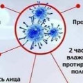 Коронавирус что нужно знать